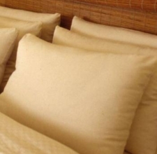 Manufacturers Exporters and Wholesale Suppliers of Foam Pillows Gwalior Madhya Pradesh